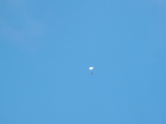 Wings of Blue Parachute Team