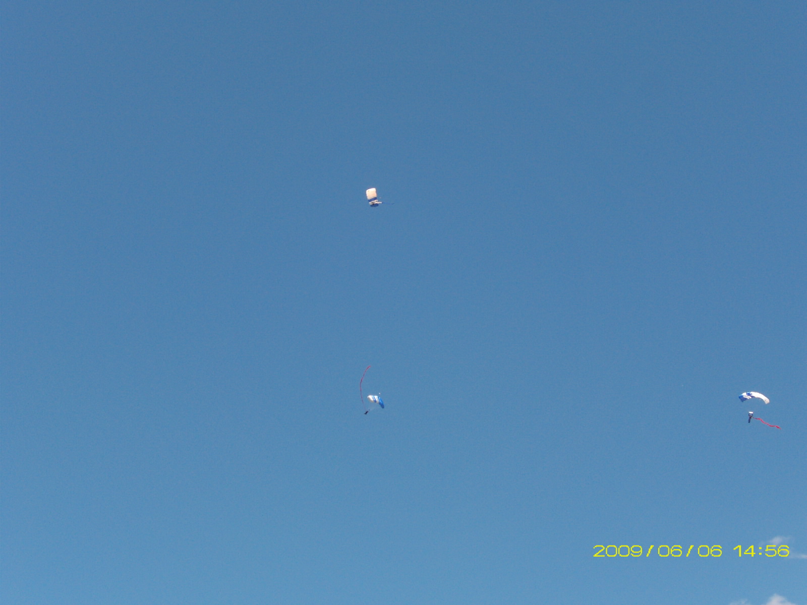 Wings of Blue Parachute Team